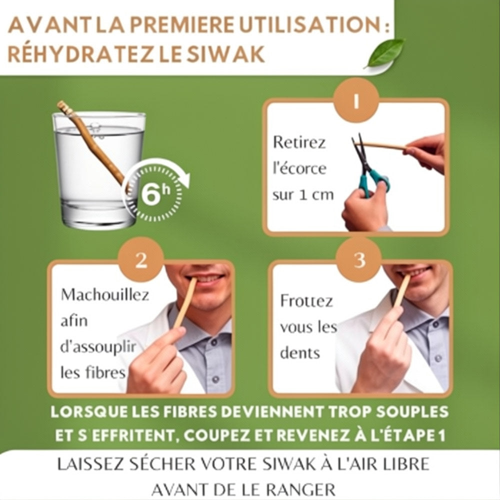 Baton Miswak | Le meilleur nettoyeur de dent