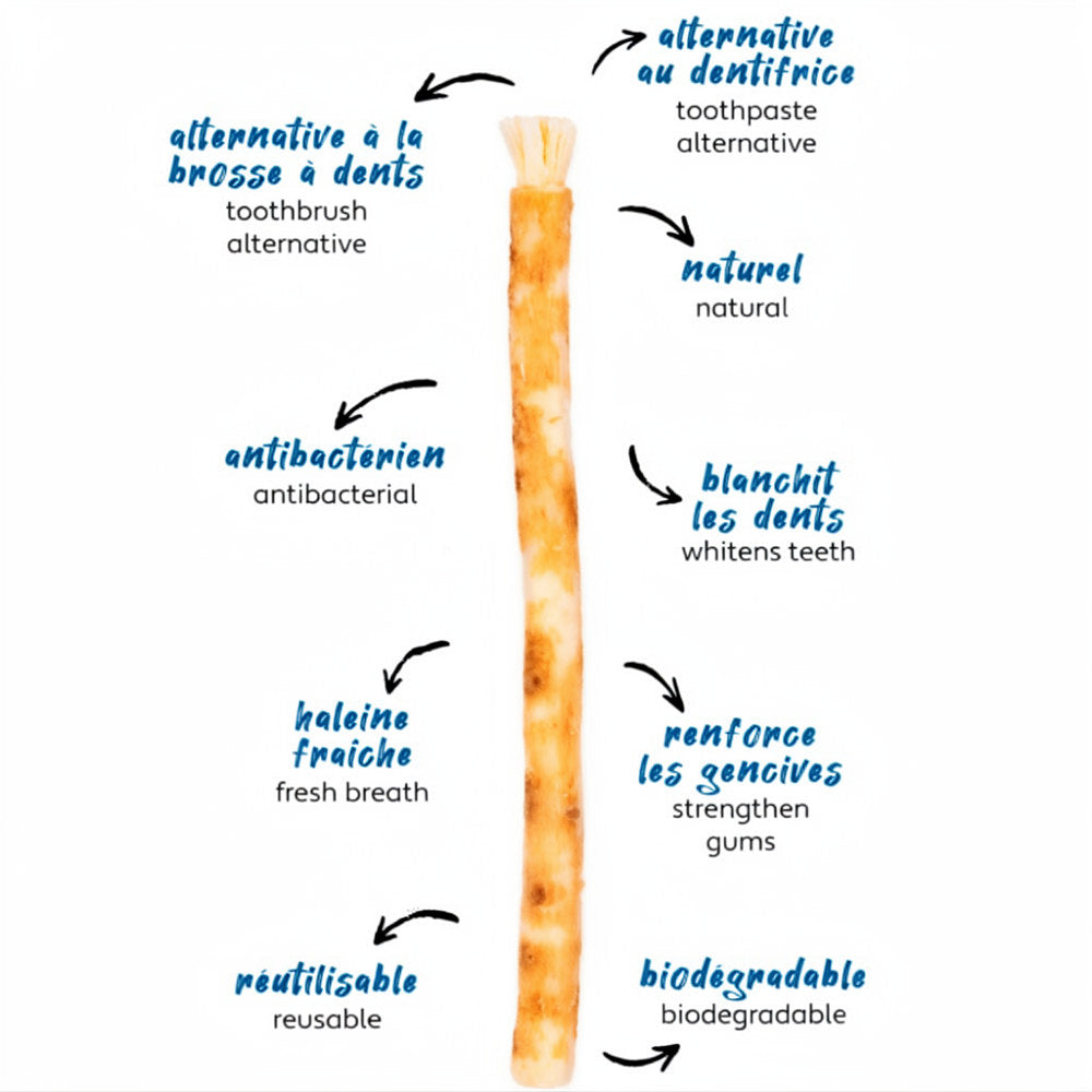 Baton Miswak | Le meilleur nettoyeur de dent