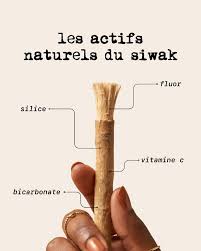 Baton Miswak | Le meilleur nettoyeur de dent
