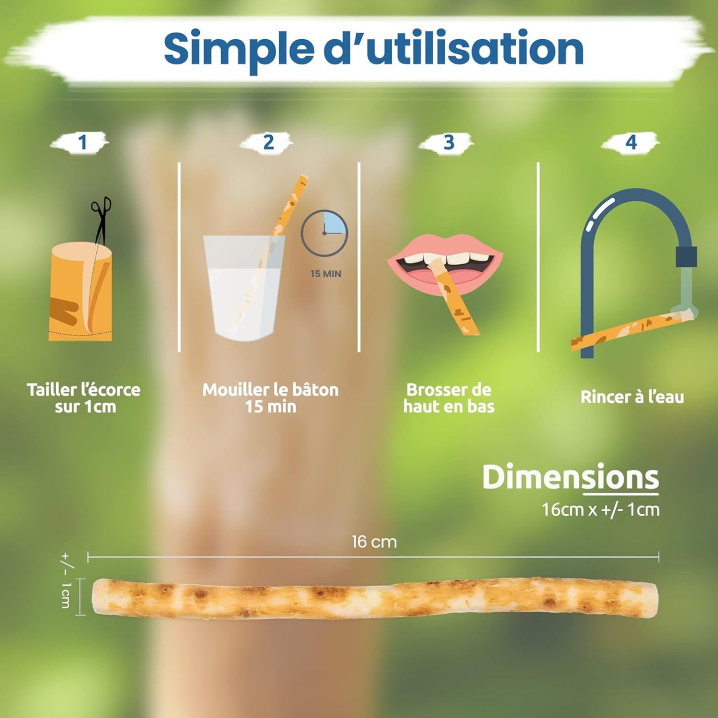 Baton Miswak | Le meilleur nettoyeur de dent
